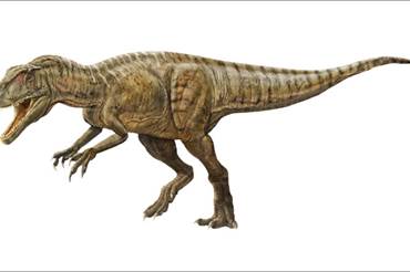 Dinosaurs of China is a one-time only world exclusive exhibition of dinosaurs