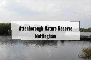 Attenborough Nature Reserve in Nottingham