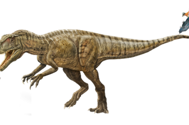 Dinosaurs of China Exhibition at Wollaton Hall Nottingham