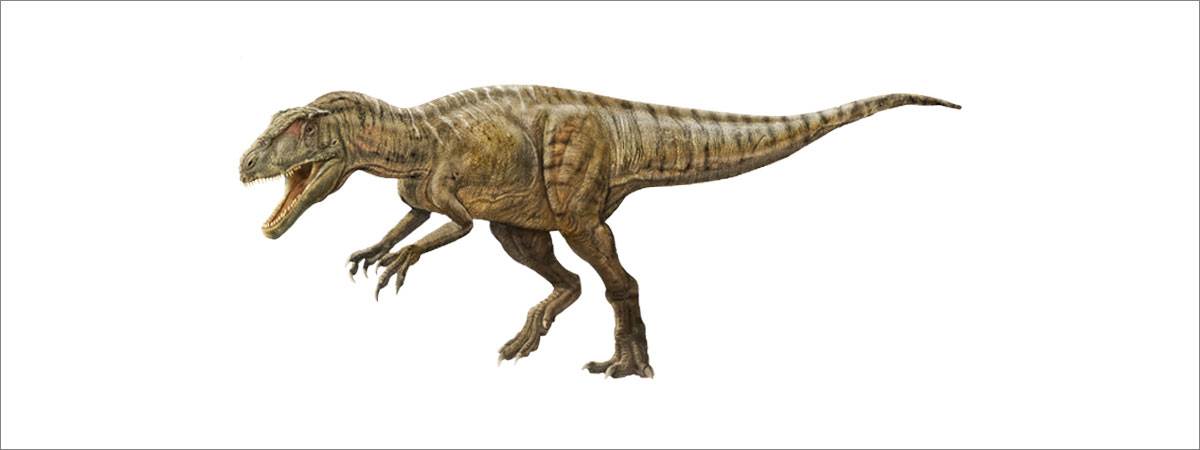 Dinosaurs of China is a one-time only world exclusive exhibition of dinosaurs