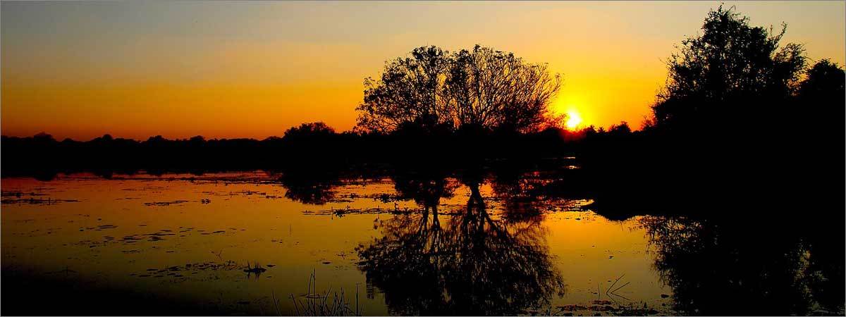 Family Favourites in Nottingham
